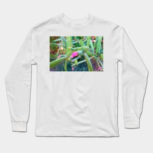 Desert Study 29 Long Sleeve T-Shirt